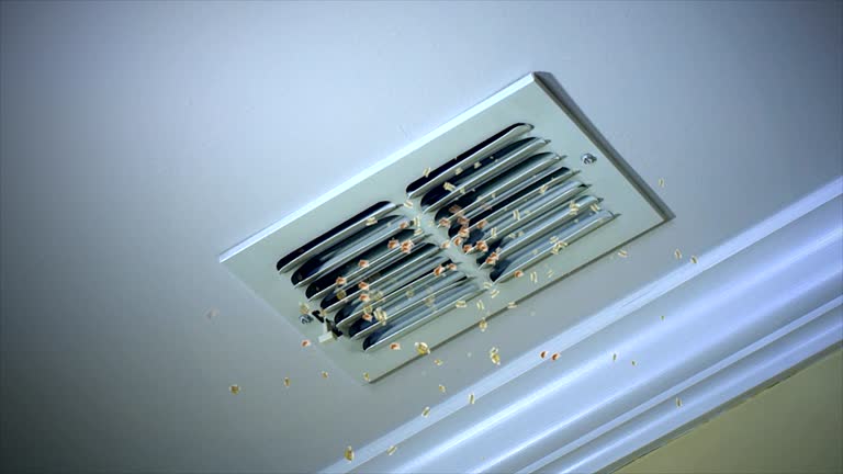 Best Best Air Duct Cleaning Company  in Faison, NC