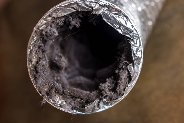 Best Air Duct Cleaning Near Me  in Faison, NC