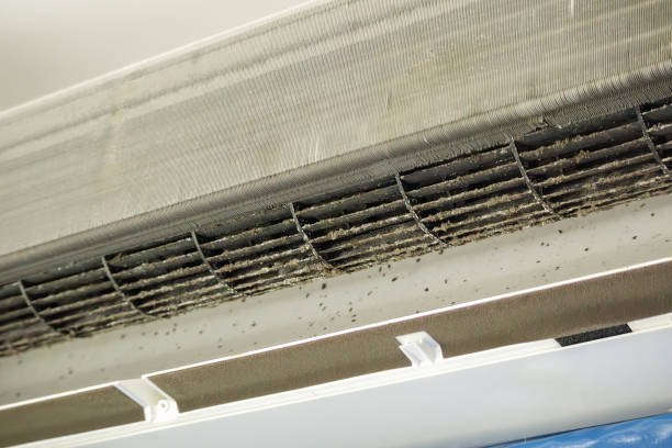 Best Ventilation Cleaning Services  in Faison, NC